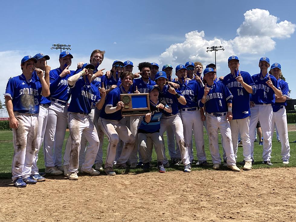 Sartell And Sauk Rapids-Rice Baseball Each Headed To State
