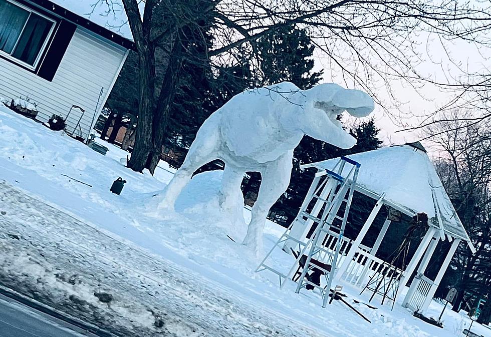 Check Out This Epic Snow Dino In Becker!