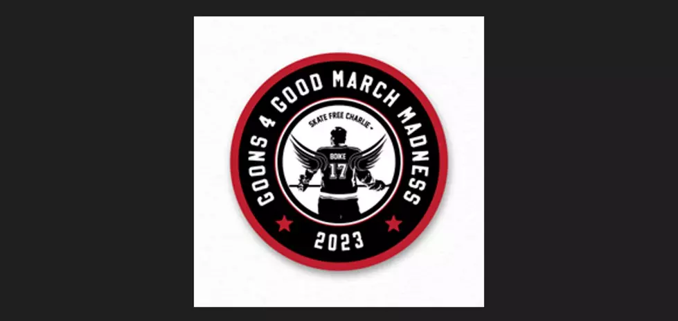 Goons 4 Good Hockey Tournament Coming To St. Cloud In March