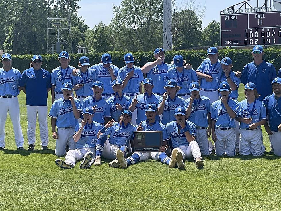 Sartell Baseball Wins Section 8-4-A Title