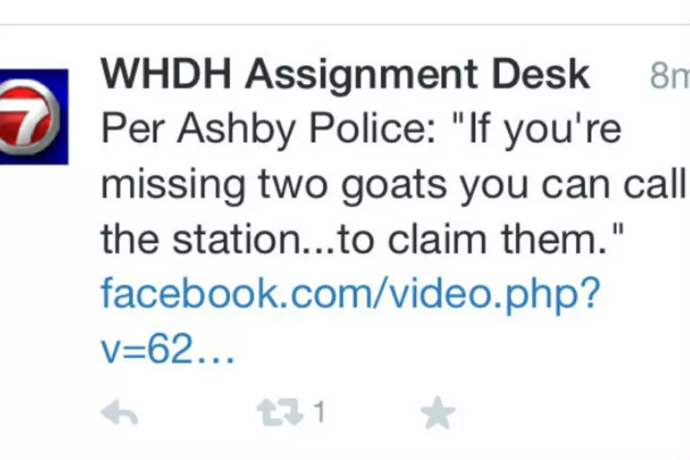 Tweet of the Week: Two Goats on the Lam [VIDEO]