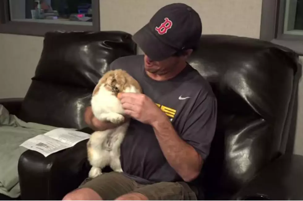 Roy Tries to Feed a Cute Bunny Who is Up for Adoption [VIDEO]