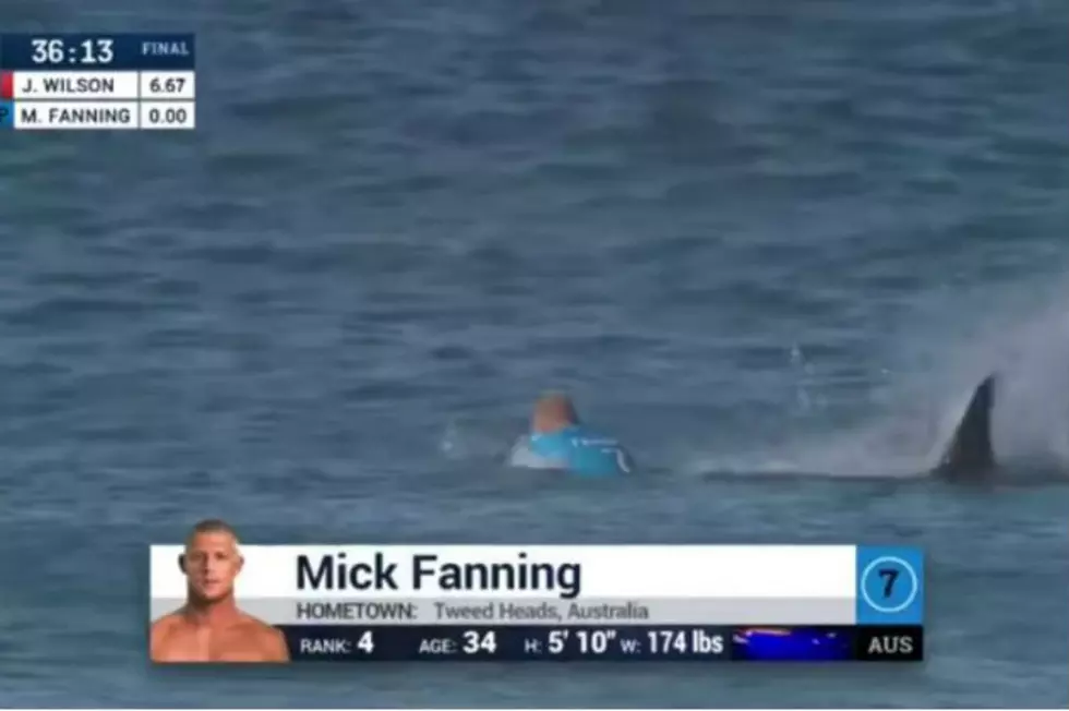 Shark Attacks Surfer on Live TV [VIDEO]