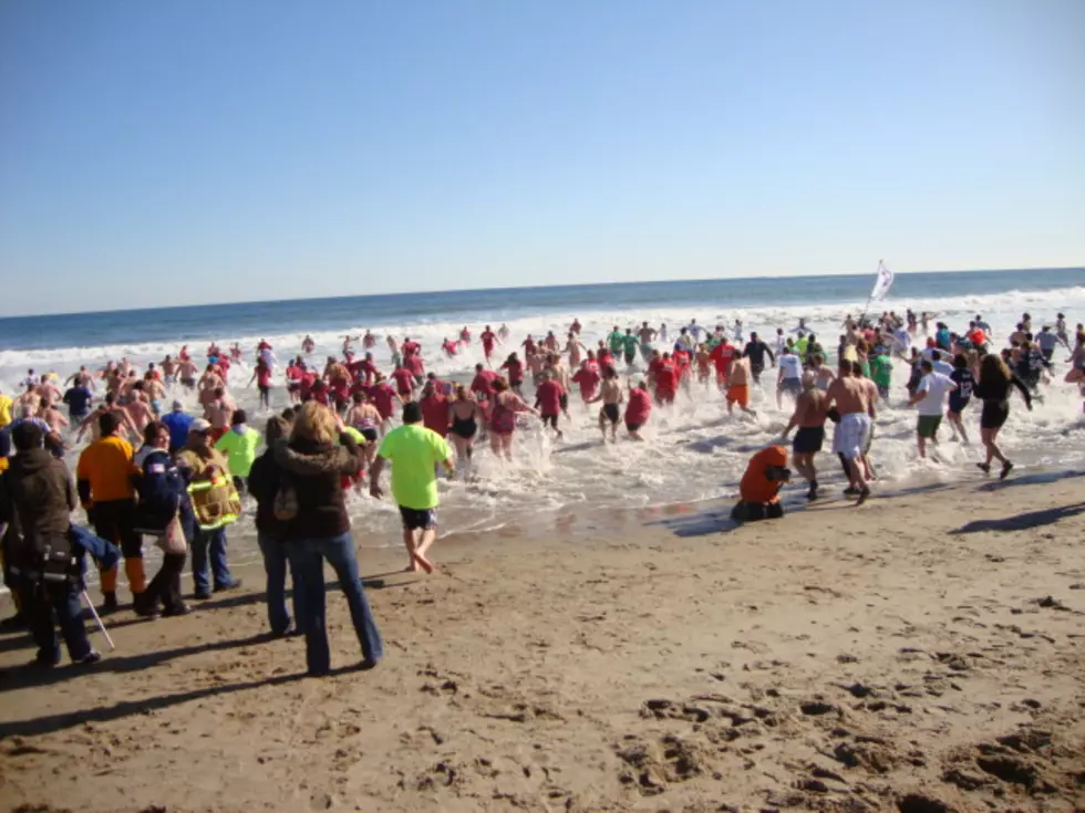 Get Ready for ‘Penguin Plunge Weekend’