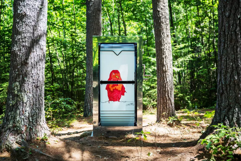 New Hampshire Town Has Giant Flip-Books Straight Chillin’ in the Woods