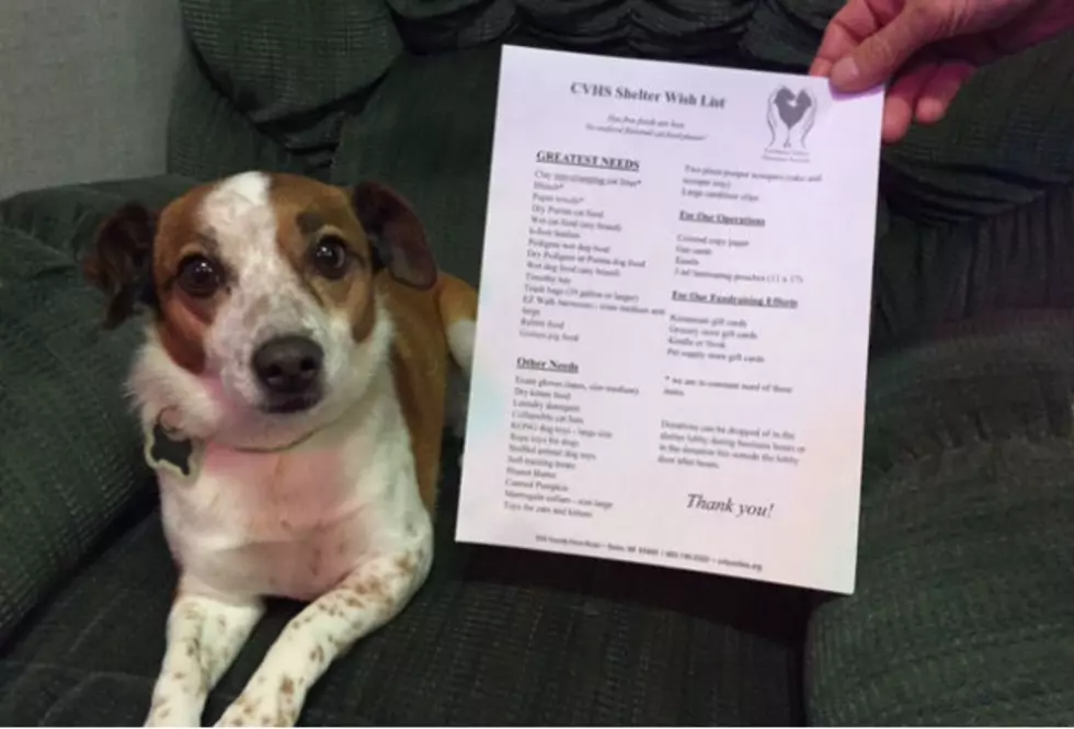 Local Shelter Has ‘Wish List’ for Holiday Season