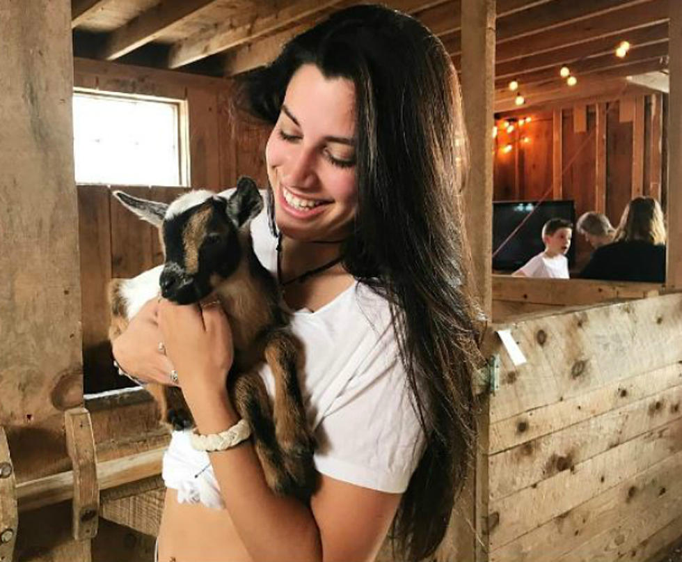 Snuggle Baby Goats
