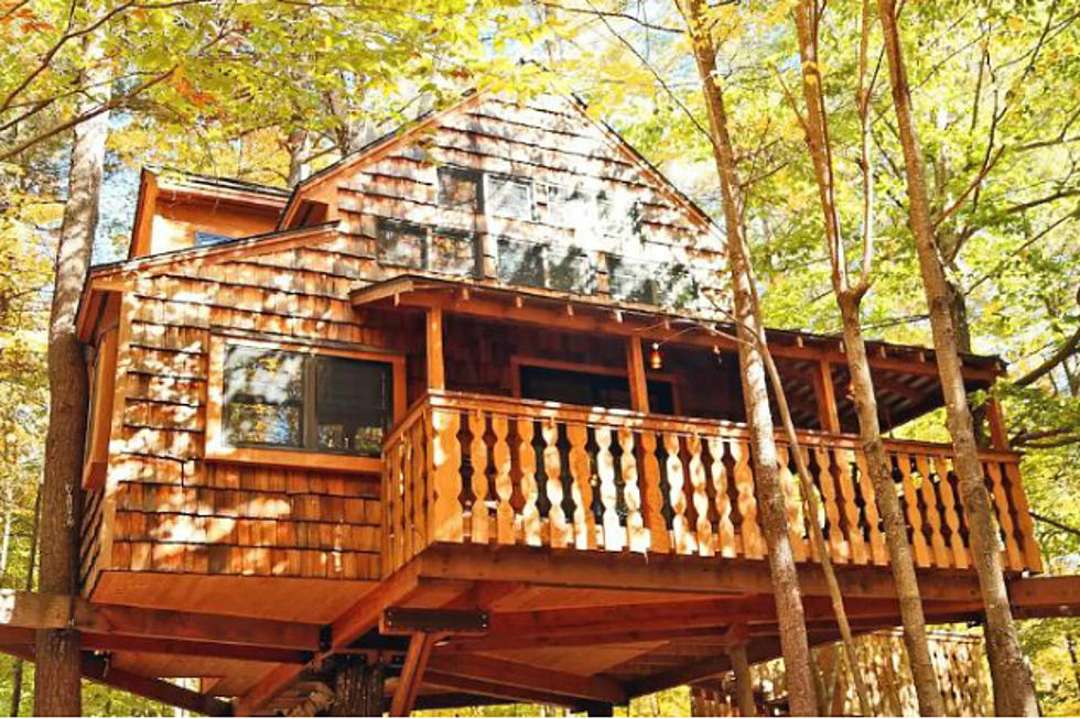 Get Away from it All and Rent this Amazing Two Story Tree House in Newbury for the Weekend