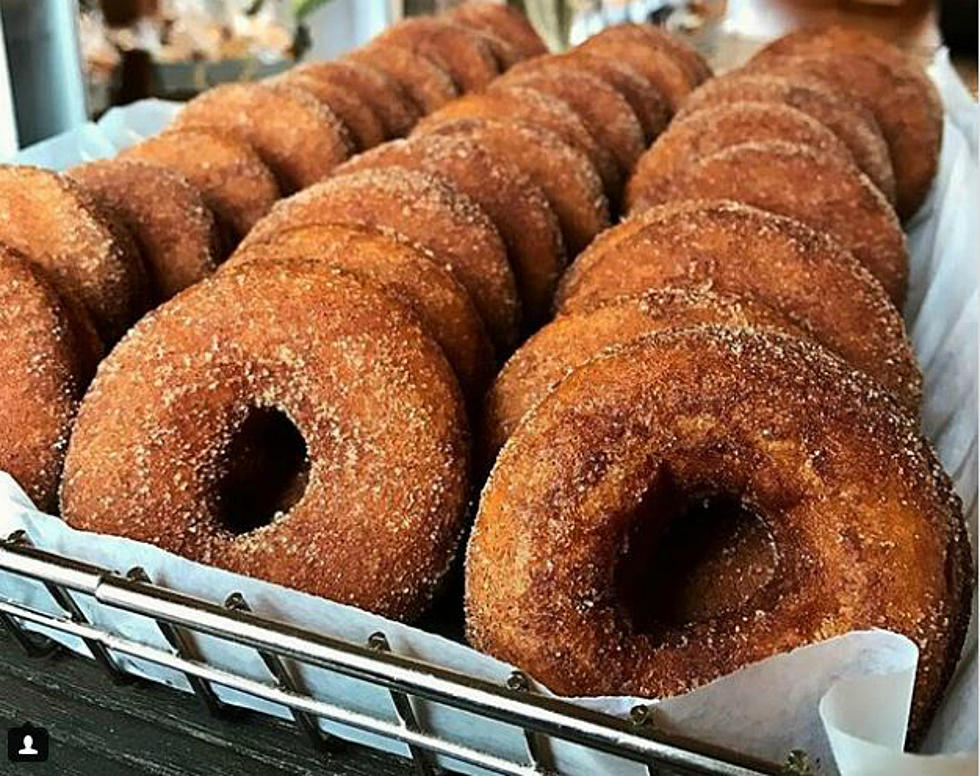 You Can Get the Best Apple Cider Donuts Ever at This Family-Owned Farm in New Hampshire