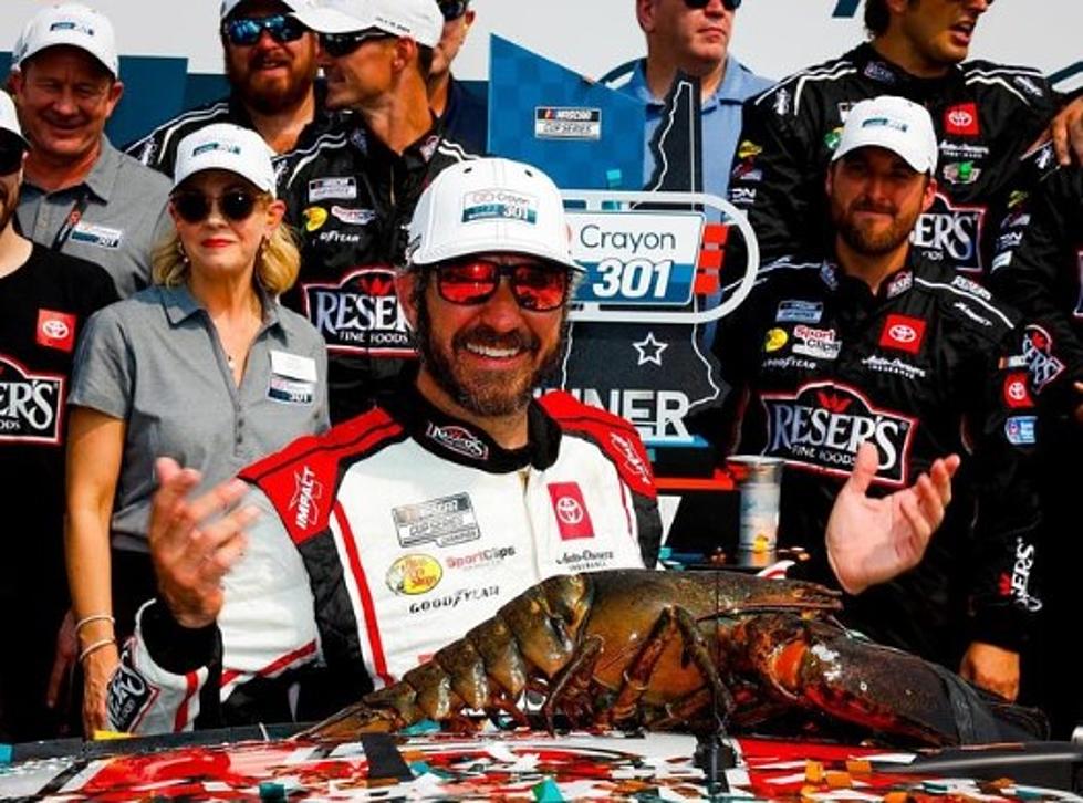 What Happens to Loudon the Lobster After the Race Each Year?