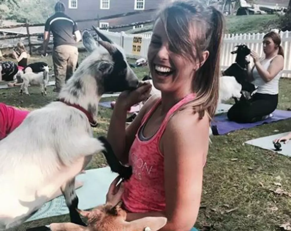 Snuggle with Goats While Enjoying Cider and Muffins at this Farm in Georgetown, MA