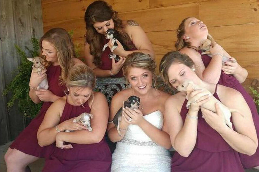 This Woman Had Her Bridesmaids Hold Rescue Puppies Instead of Bouquets at Her Wedding