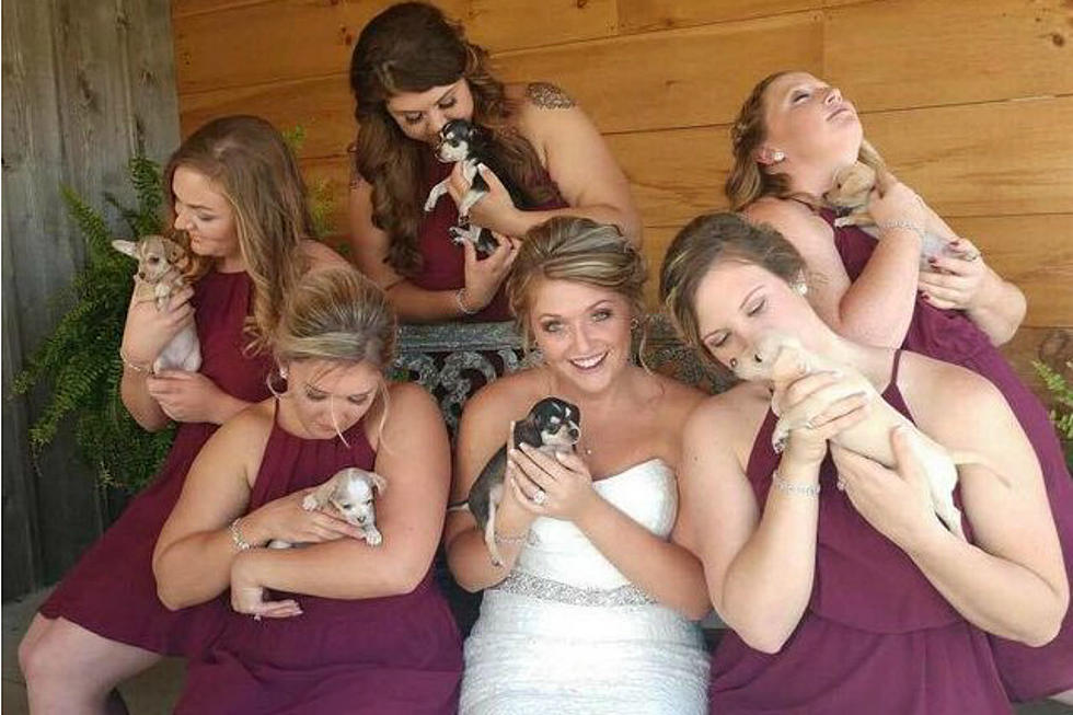 This Woman Had Her Bridesmaids Hold Rescue Puppies Instead Of Bouquets At Her Wedding