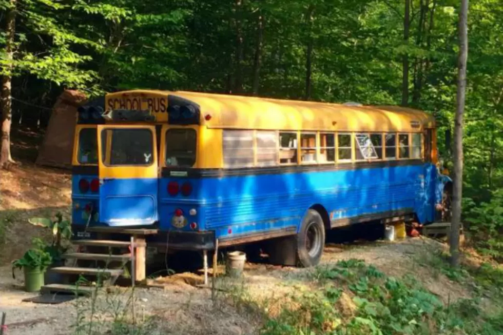 Into Unique Accommodations? You Can Rent This Finished School Bus in the Woods of Thornton