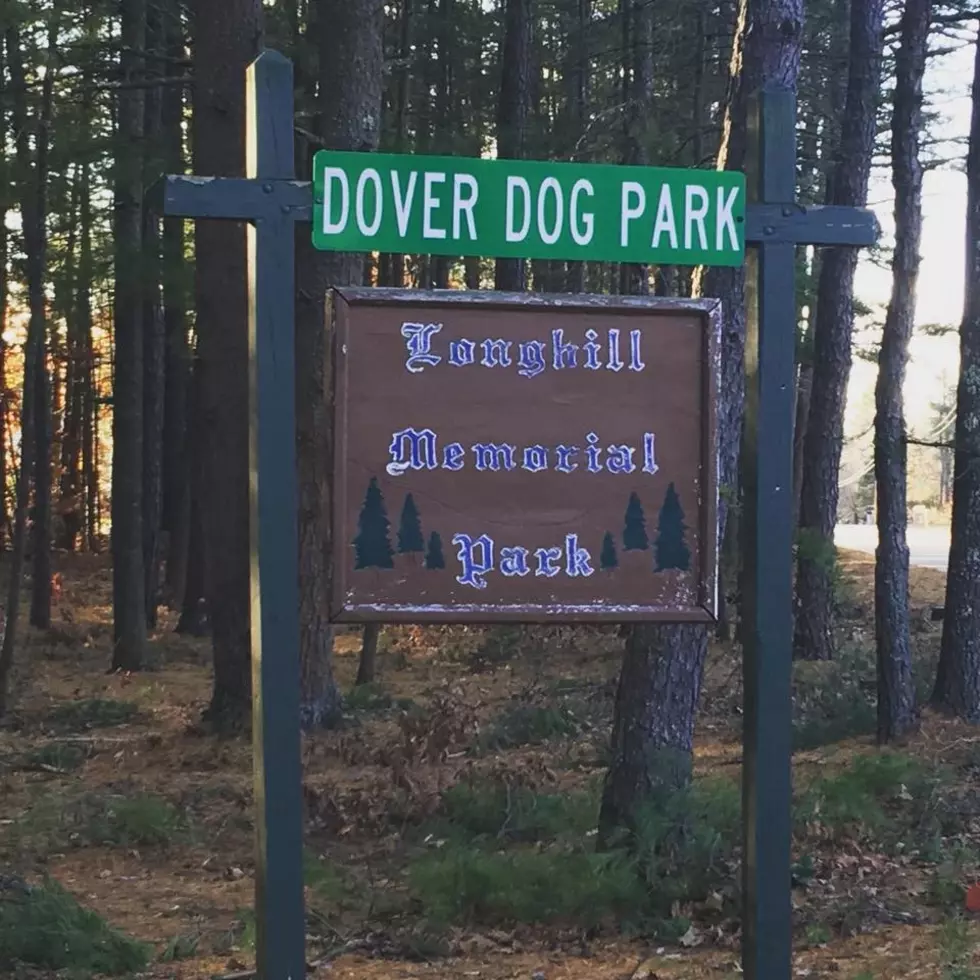 Dover Dog Owners Love This Dog Park