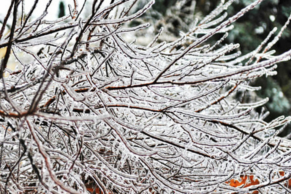 A Look Back at the Great Ice Storm that Hit New Hampshire in 1998