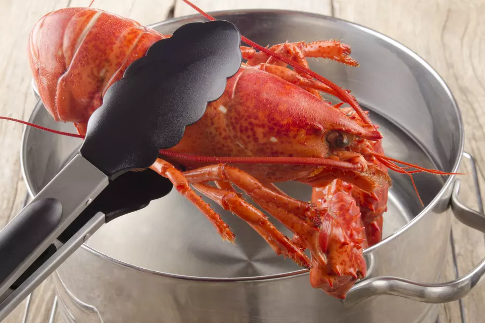 Kira Committed a Real Faux Pas Cooking Lobster For The First Time
