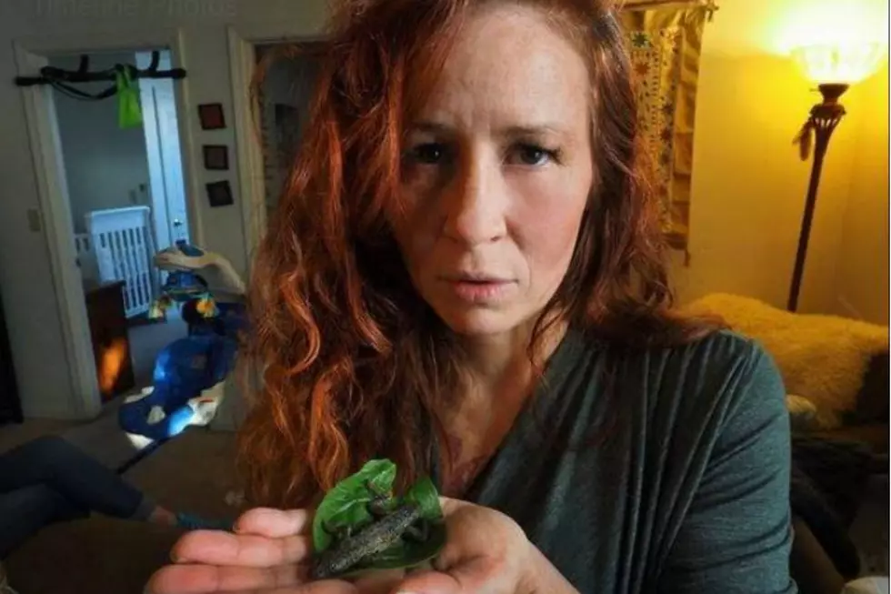 Kittery Maine Woman Found a Surprise in Her Salad in the Form of a 3-Inch-Lizard