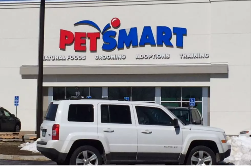 Join WOKQ for the Grand Opening at PetSmart in Newington
