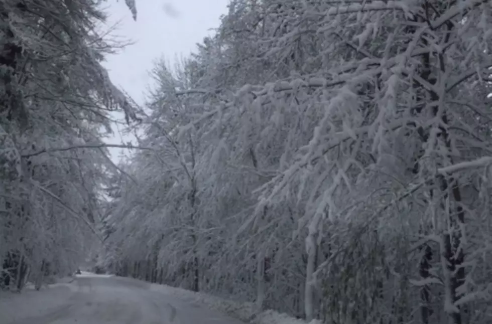New Hampshire To See New Warning From National Weather Service 