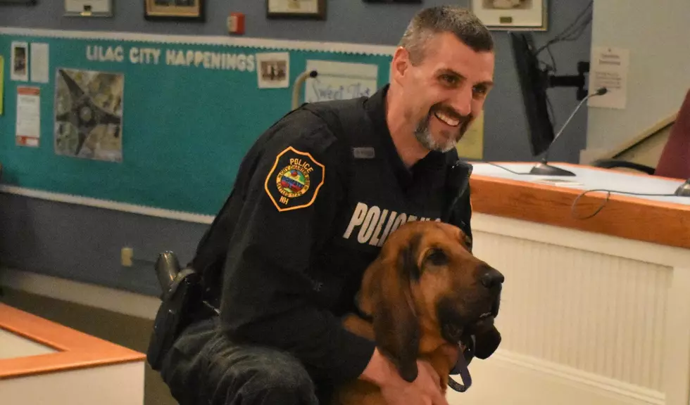 Rochester Police Have Welcomed A New K-9 To The Force
