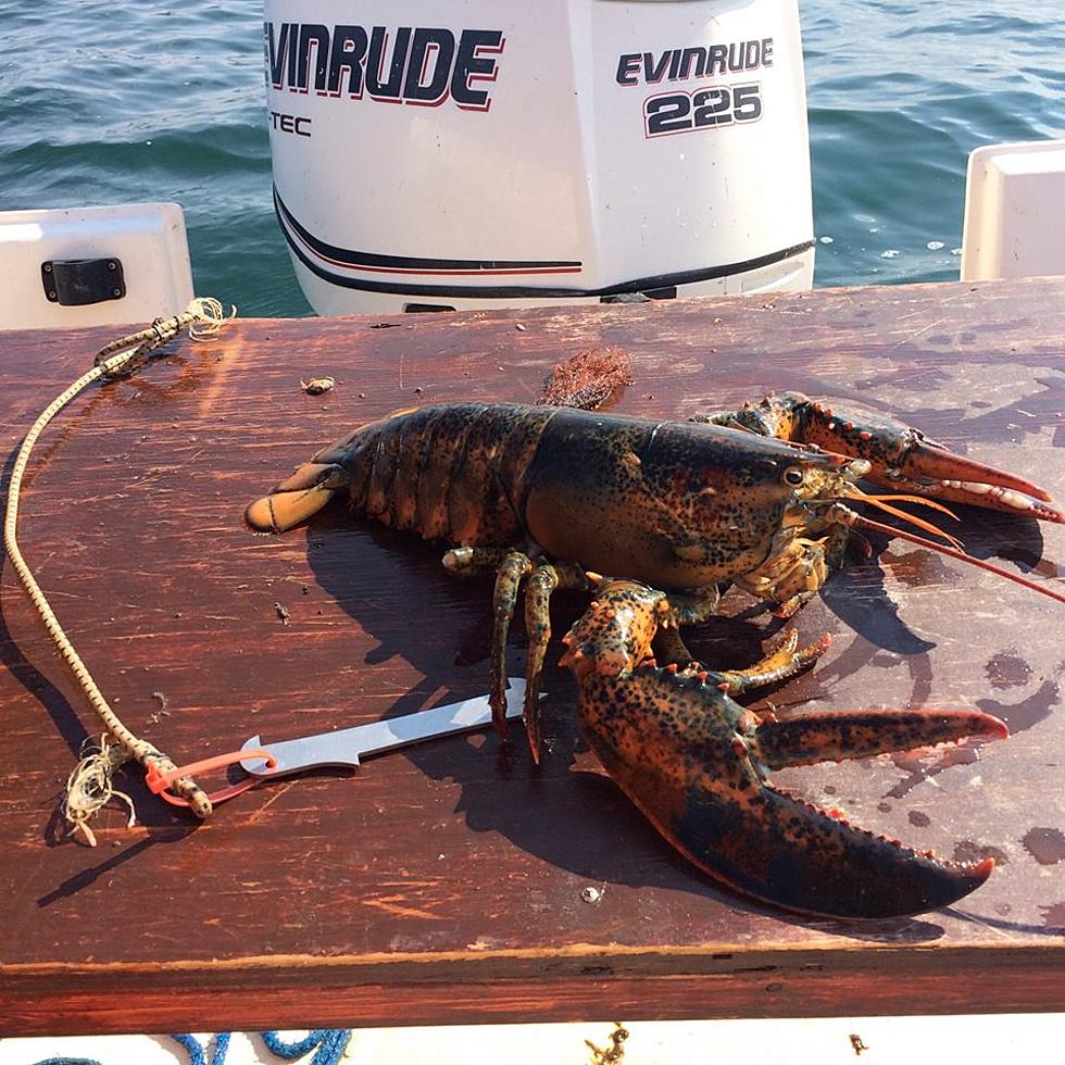 Catch Your Very Own Lobster This Summer At Hampton Beach, NH
