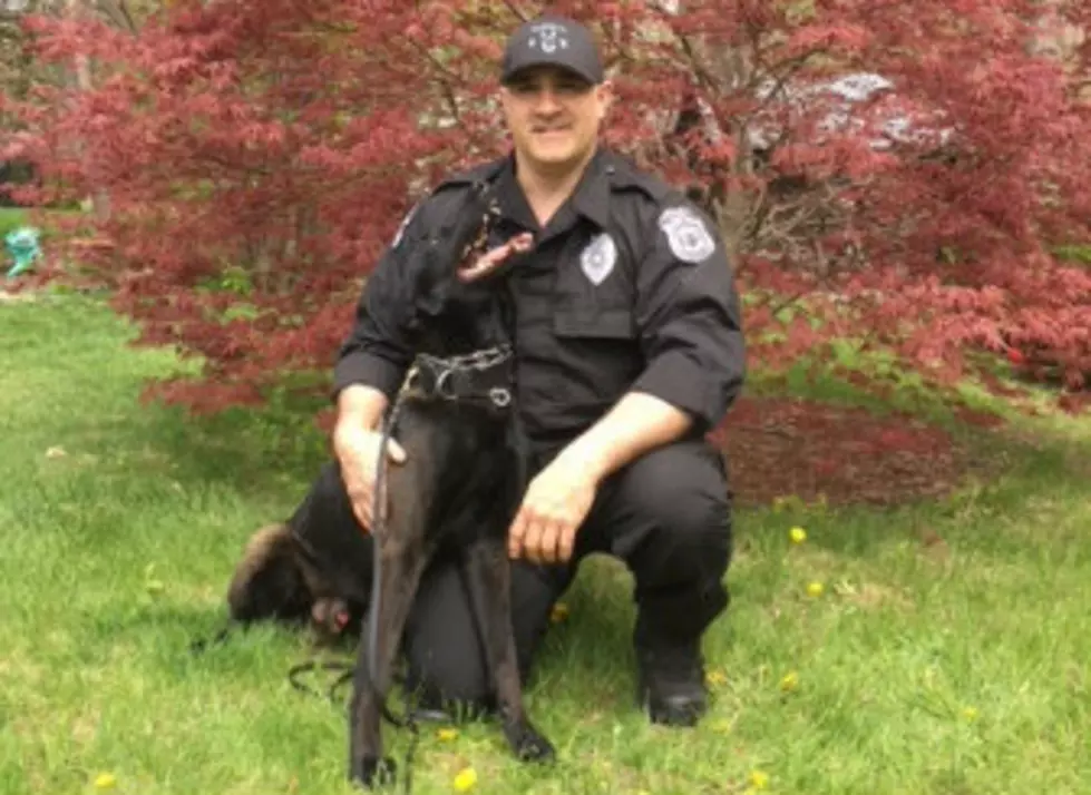 Seabrook Police K-9 To Get Body Armor