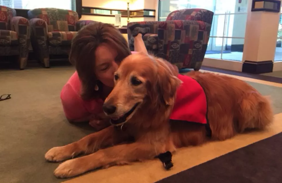 See My Very First Meeting with Brady, the Therapy Dog