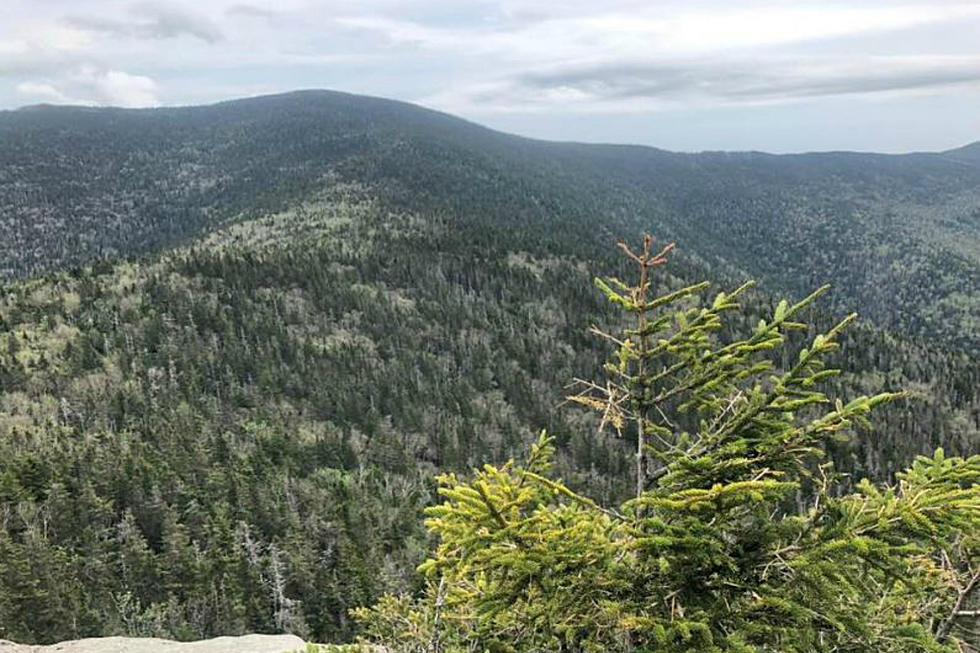 MA Hiker Needed A 911 Rescue From Waterville Valley Mountain