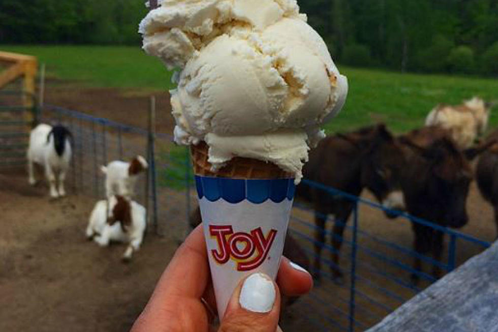 This Petting Zoo & Ice Cream Shop in Sunapee, NH Is Calling My Name