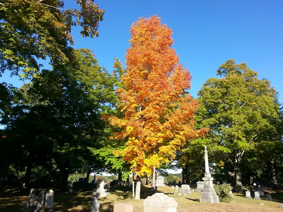 A UNH Scientist Is Predicting A Pretty Spectacular Fall Foliage Season