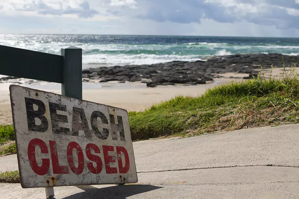 Man Dies After A Shark Attack Off Cape Cod 