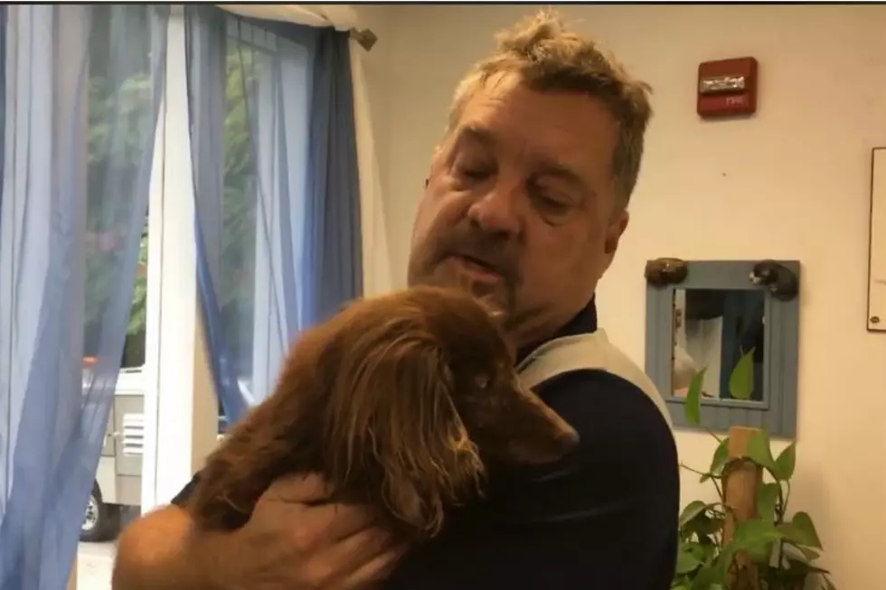 This New England Dog Came Home To Her Family After Missing For 5 Years