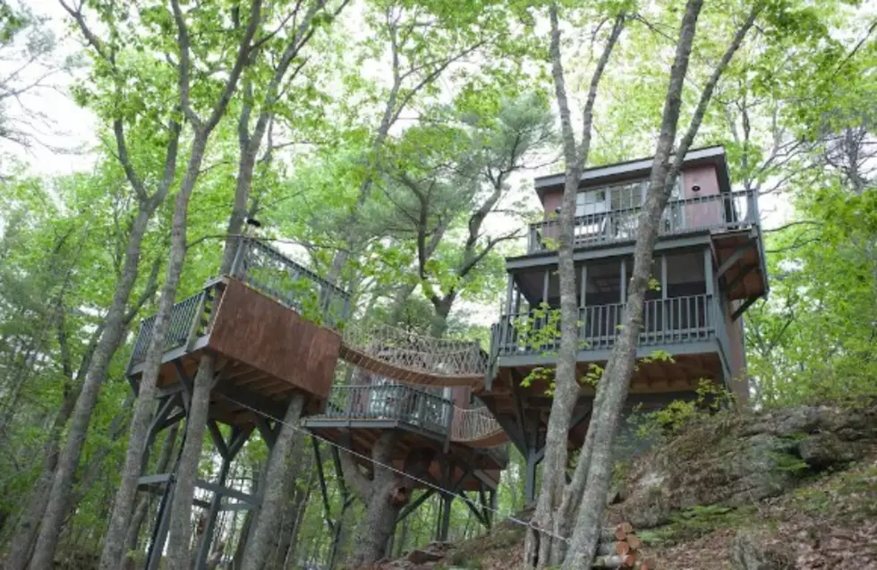 This Tree House in Georgetown, Maine, is a Magical Escape