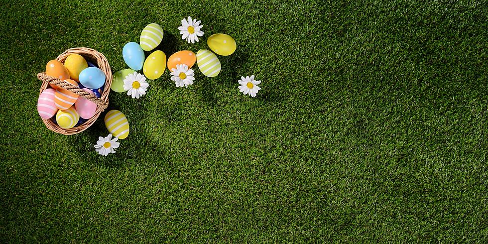 Here&#8217;s Where to Find Easter Egg Hunts in New Hampshire