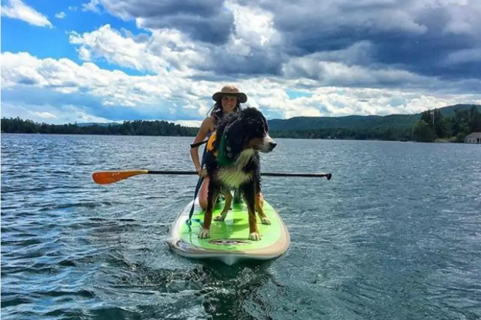 Try Stand-Up Paddle Boarding For Free in Freeport, Maine