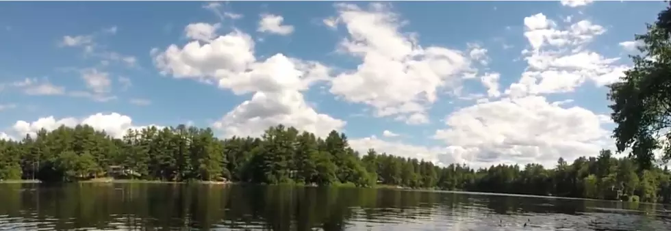 NH Golden Retriever Drowns In Lake After Owner Allegedly Pushes Her Off Dock