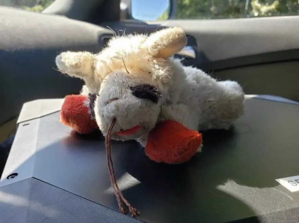 NH State Police On The Case Of Lost Toy Lamb