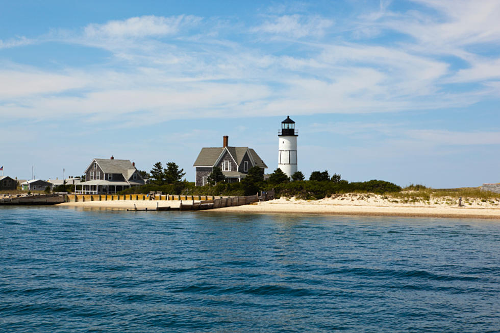 Sharks Took a Bite out of Cape Cod Tourism this Summer