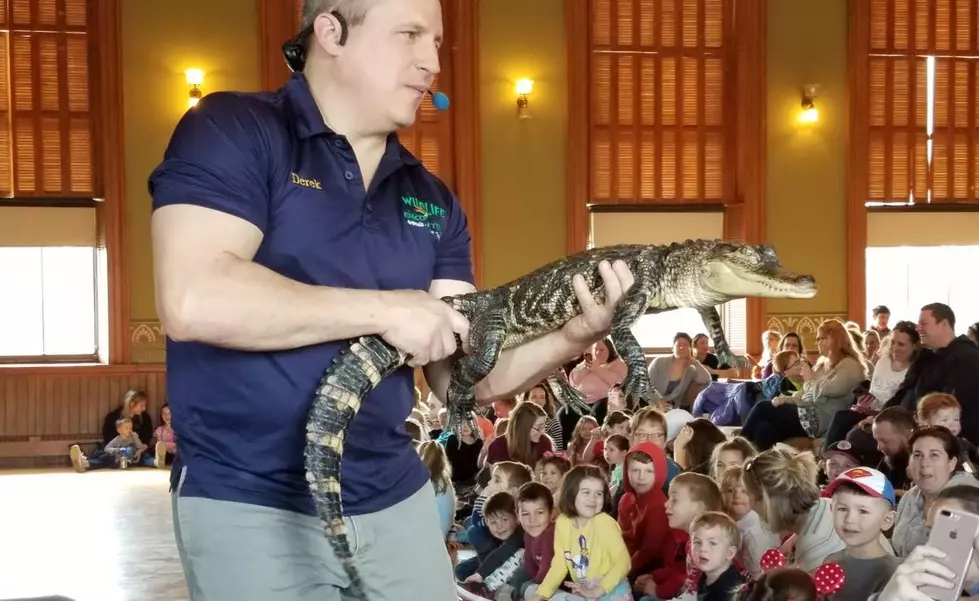 Wildlife Encounters Show Coming to Milford, NH for February Vacation