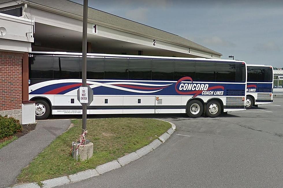 Concord Coach Lines Suspending Service
