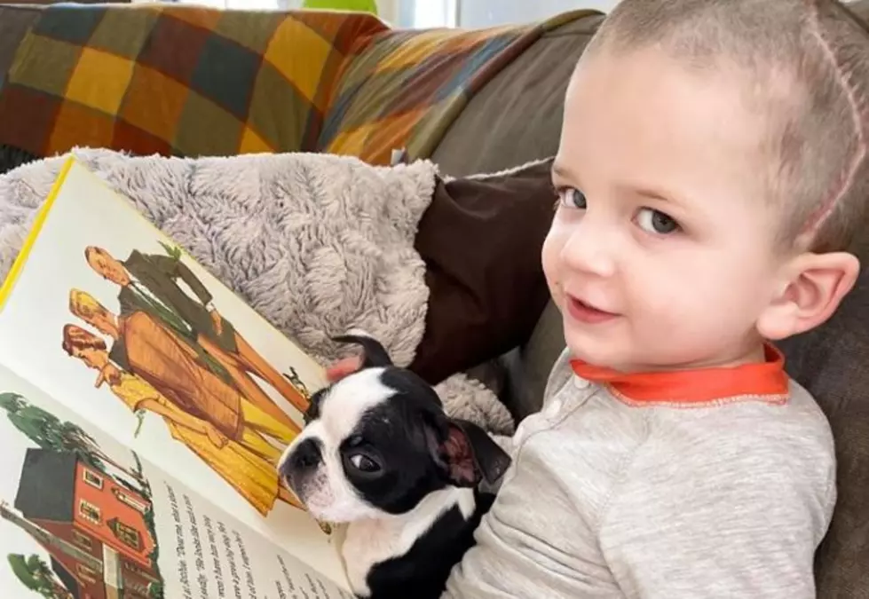 NH Toddler Underwent Skull Surgery and Now His Puppy Needs Our Prayers
