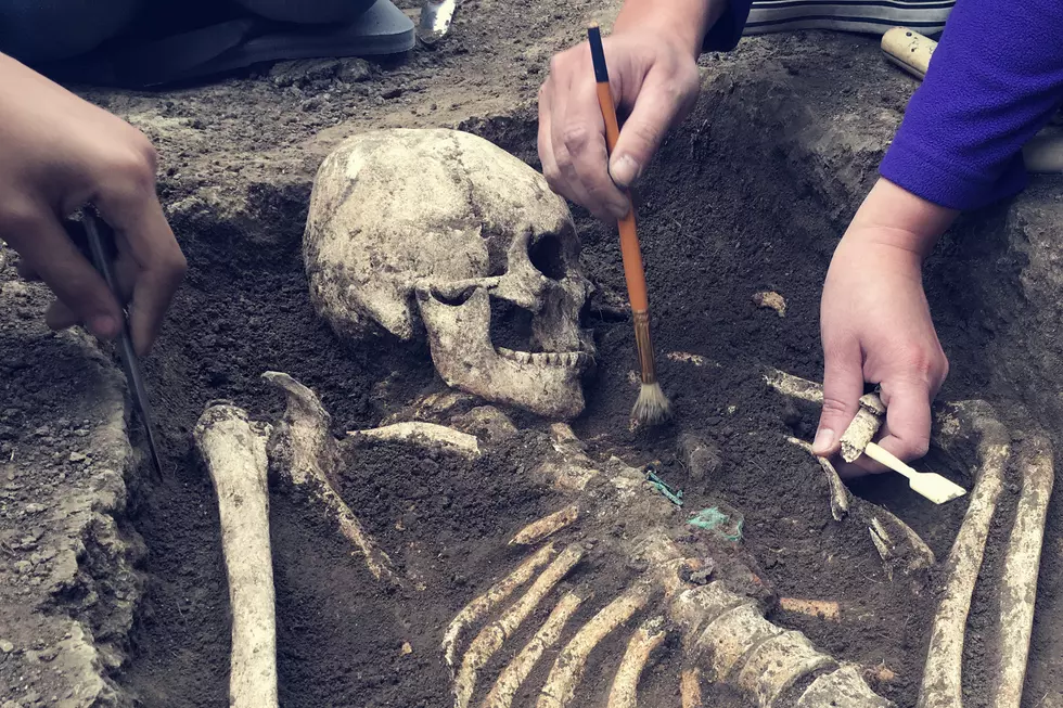 Skull found on Kittery Beach