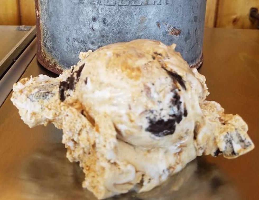 Funky Panda Ice Cream at Lago&#8217;s is Taking the Seacoast by Storm