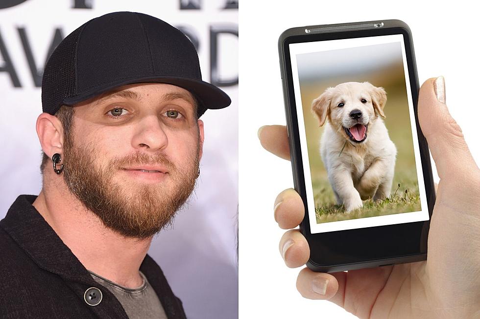 Send Us Photos of Your Dog Through the App to Score a Brantley Gilbert Summer Prize Pack