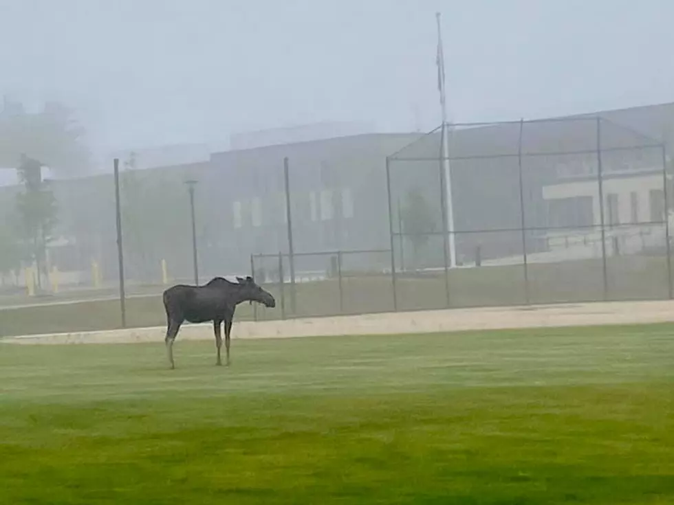 courtesy: Dover High School Facebook