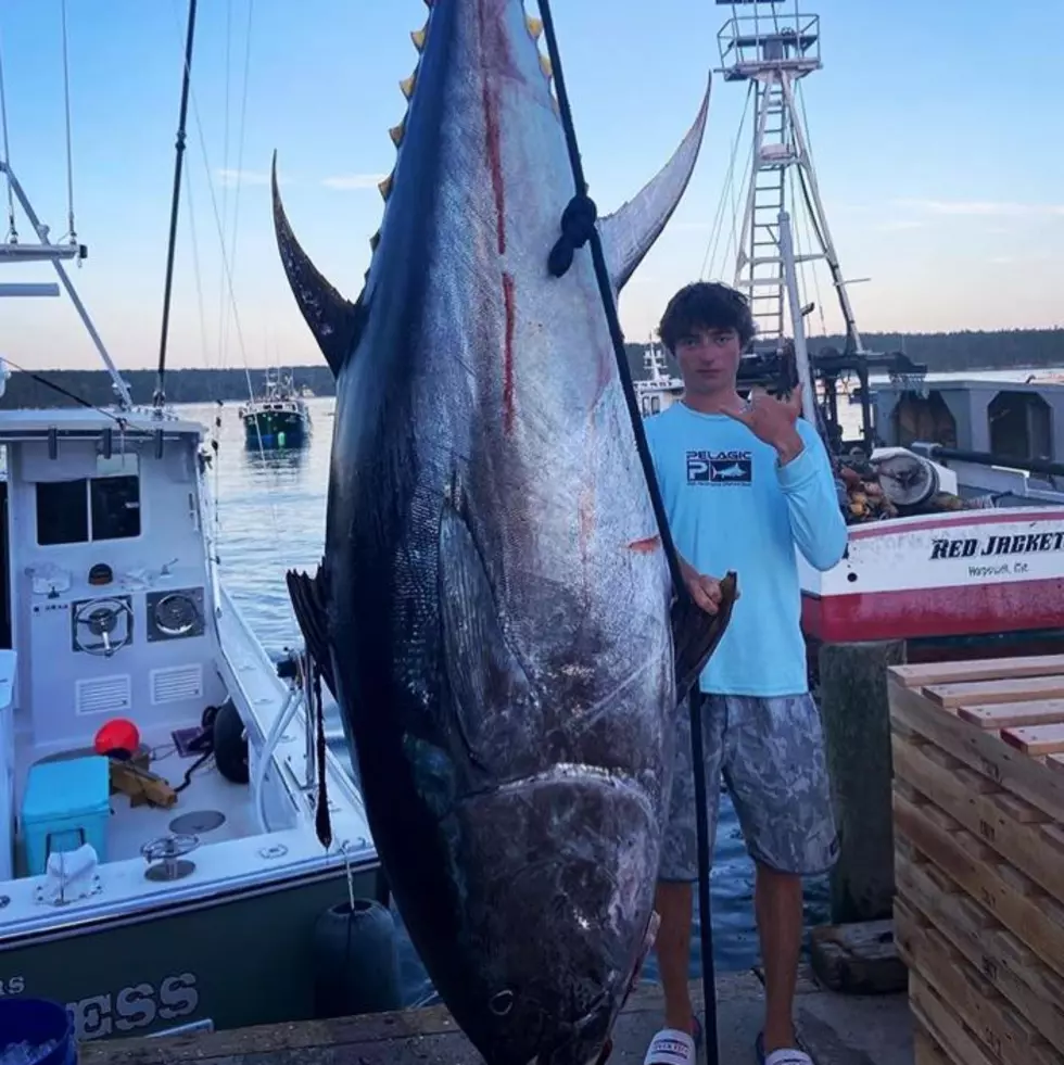 Three Maine Teens Catch a 700 lb. Bluefin Tuna
