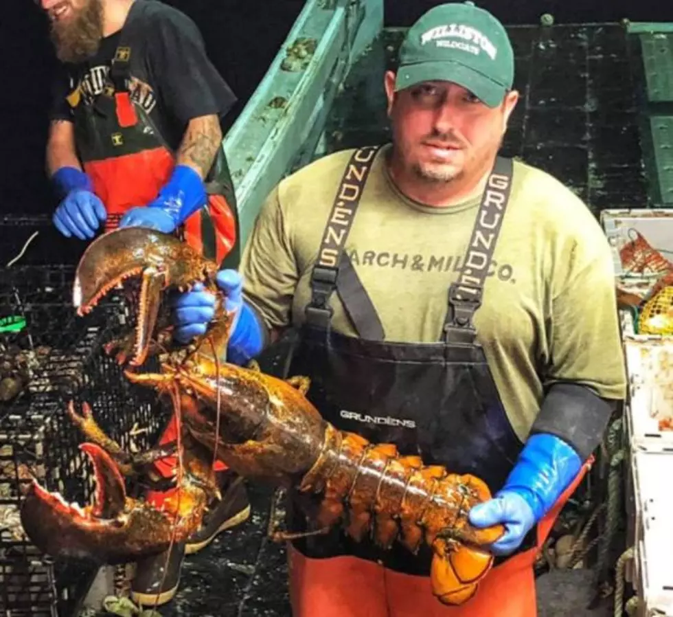 Portsmouth, NH, Man Catches, Monstah of a Lobstah