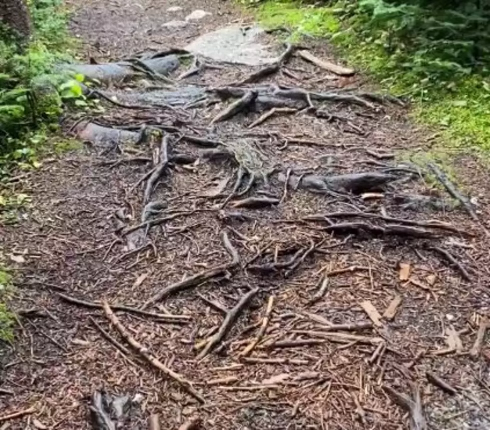 Watch: The Ground Appears to Be Breathing at Mount Tecumseh in New Hampshire