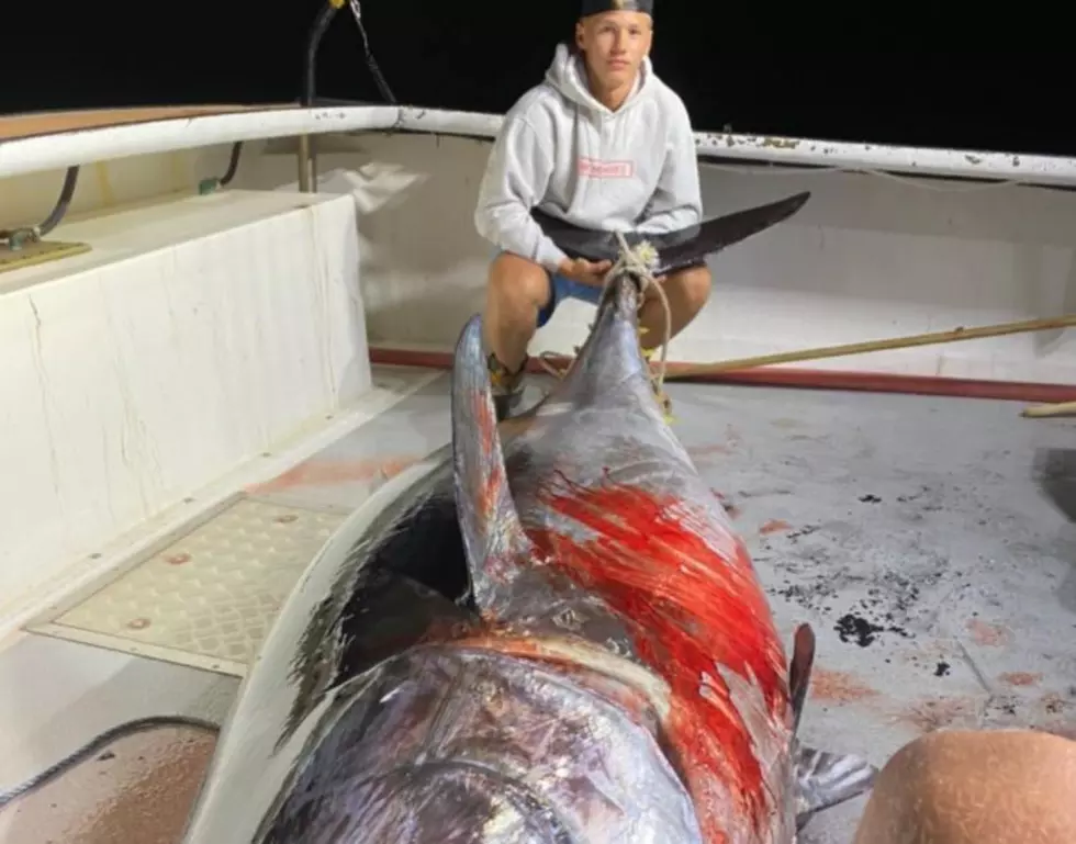 Two Teens from Fitchburg, MA, Reel in an 800 Pound Tuna
